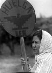 (3189) A demonstrator holds a sign that reads "HUELGA UFW”